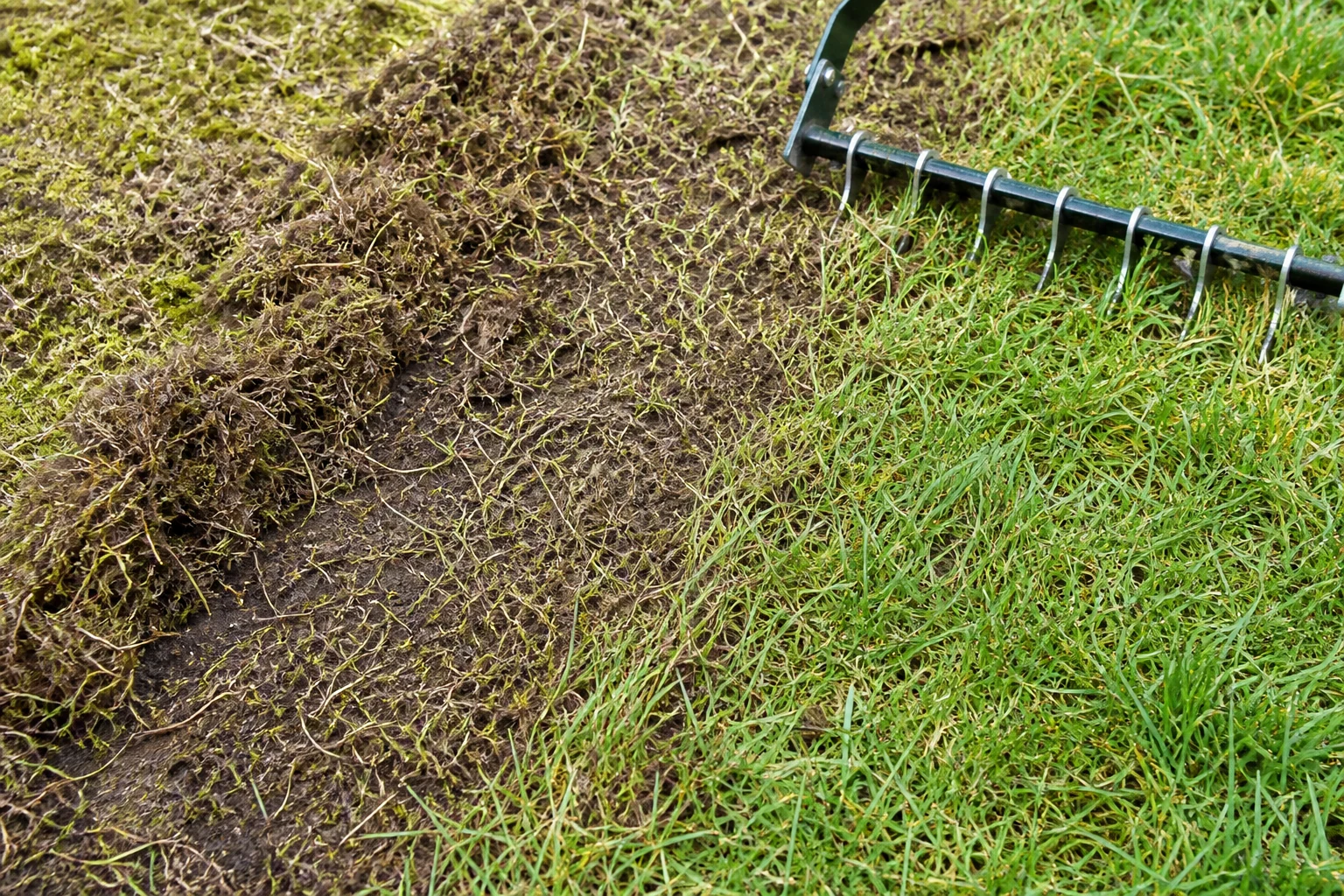 Wertykulacja trawnika i usunięta warstwa filcu oraz mchu